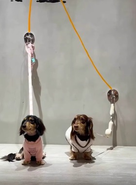 墙栓把手栓狗停狗位狗狗安全停泊狗位宠物停车位休息牵引绳挂绳处