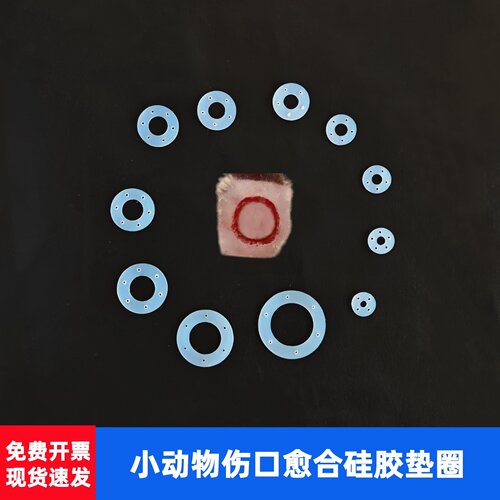 大小鼠伤口愈合垫圈贴片对照环