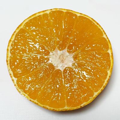 【 九分甜一分酸】葡萄牙里斯本薄皮橙橙子多汁饱满生态种植