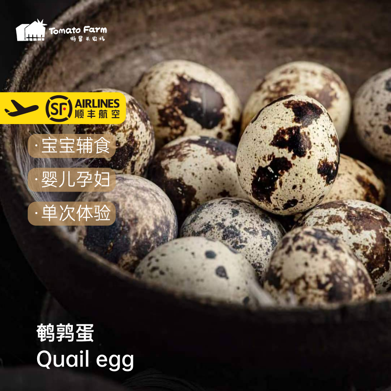 鹌鹑蛋宝宝辅食婴儿孕妇月子·单次体验·生态健康安心·110枚,水产肉类/新鲜蔬果/熟食,番茄,淘宝优惠券,粉丝福利购,淘宝优惠卷