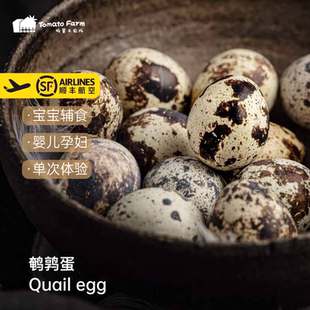 鹌鹑蛋宝宝辅食婴儿孕妇月子·单次体验即食生态健康安心·110枚
