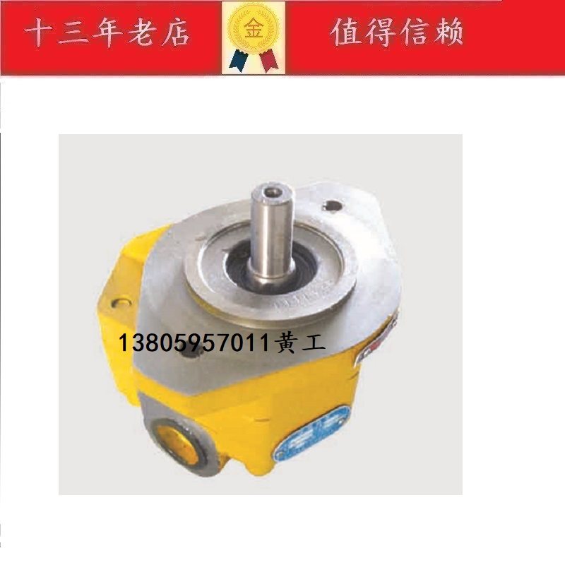 装载机铲车行走泵油泵cbf1016 cbgy1018 cbf1025 1032 1040 1045
