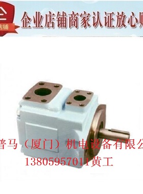 DENISON丹尼逊叶片泵T6C-003-1R01-C1 1R00 1R02 1R03 T6C-005