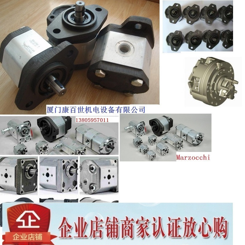 marzocchi意大利马祖奇高压齿轮泵k1pr9.2xg k1pr7.5xg k1pr6.7xg