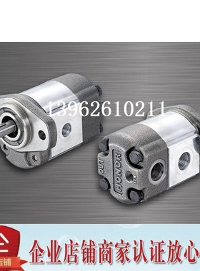 钰盟HONOR齿轮泵1VG1P02L 1VG1P04L 1VG1P05L 1VG1P06L 1VG1P07L