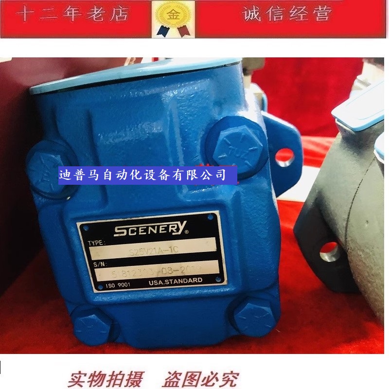 SCENERY油泵叶片泵S25V21A-1C