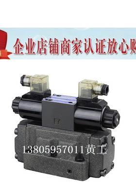 LITAND LYOUTIAN电磁阀SW-G06-D3-A240-10/20 G04 D24 E ET T G10