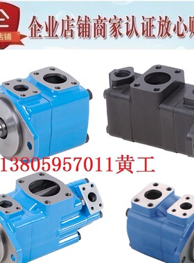 HONGYI叶片泵45VQ42A 45VQ45A-1A20R 1B20R 1C20R 1D20R 11