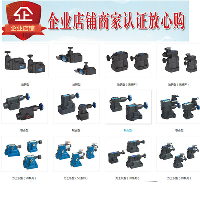 原装凯斯特KAISITE溢流阀DB30-1-50B/315