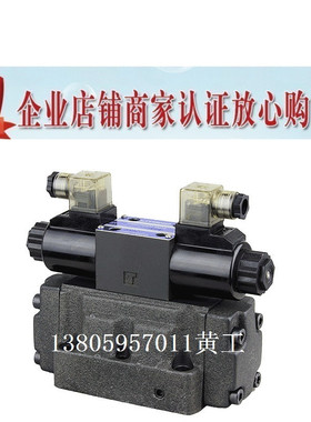 LITAND LYOUTIAN电磁阀SW-G06-C3B-A240-10/20 G04 D24 E ET G10