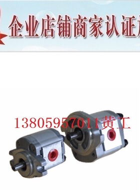 台湾康百世KOMPASS齿轮泵P109RN01GT P109RP01GT P109RU01GT F