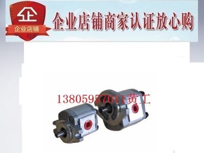 台湾康百世KOMPASS齿轮泵P109RN01GT P109RP01GT P109RU01GT F