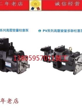 台湾康百世KOMPASS柱塞泵PV210A2RM1A PV210A2LM1A