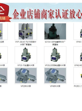 现货CCL YRUN RSR叶片泵VP1-12-70   VVP-20/20-70/70  SCY14-1BF