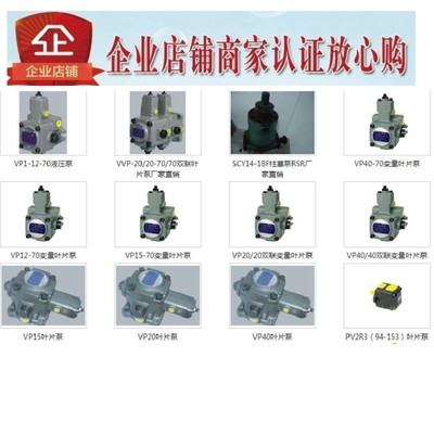 现货CCL YRUN RSR叶片泵VP1-12-70   VVP-20/20-70/70  SCY14-1BF