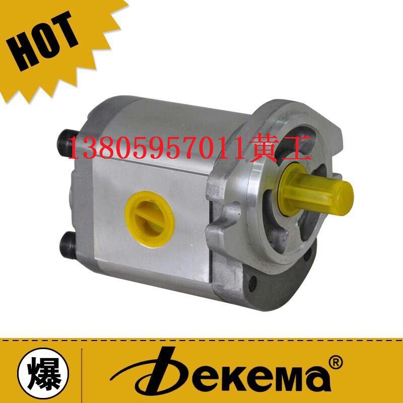 德克玛液压DEKEMA高压齿轮泵