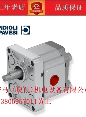 意大利BONDIOLI & PAVESI邦地奥利齿轮泵HPLPA119DDDG3G3BOO 131