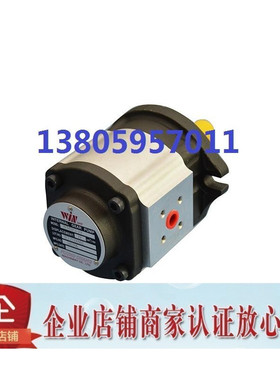 台湾峰昌WINMOST齿轮泵WMIP2-12 19 25 WMIP-213 219 225