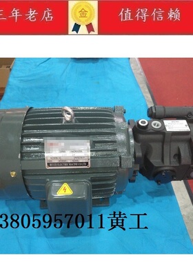 三相电机220伏2.2KW 4P 柱塞泵V15A3R10X