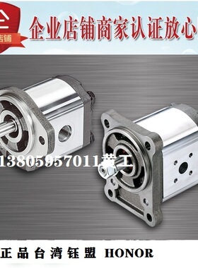 台湾钰盟HONOR齿轮泵2GG9P04R 2GG9P22L  9Y 9W 2GG9P05R