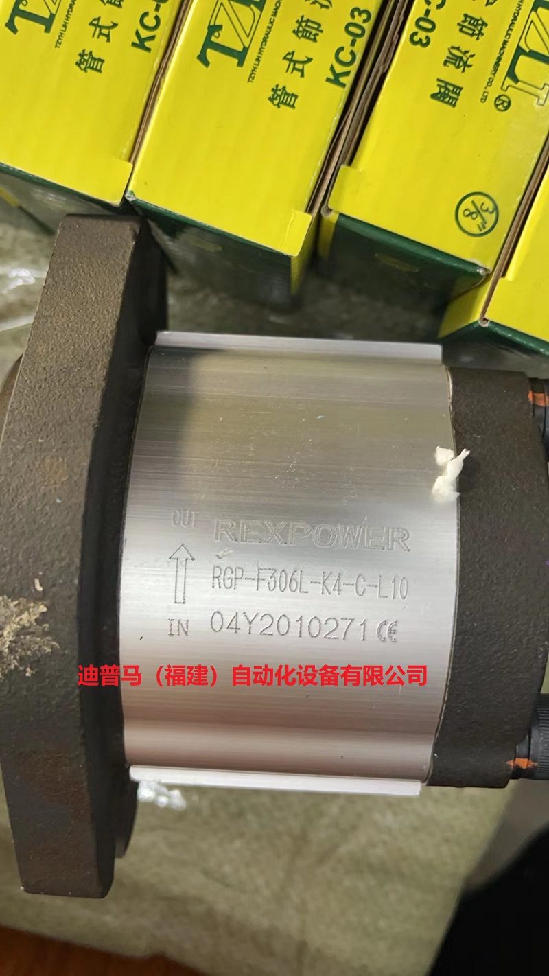 台湾锐力REXPOWER油泵RGP-F306R