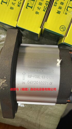 台湾锐力REXPOWER油泵RGP-F306R