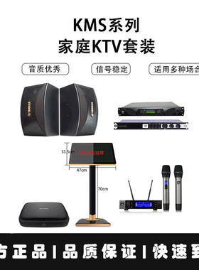 雅马哈卡拉OK包家庭KTV套装