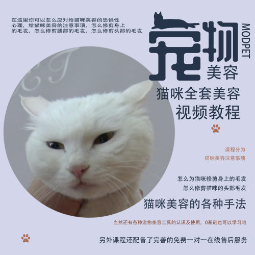 宠物美容猫咪造型美容修剪视频教程MODPET
