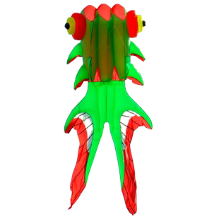 飞悦新款软体风筝3.8米5米8米金鱼风筝无骨风筝微风抗风