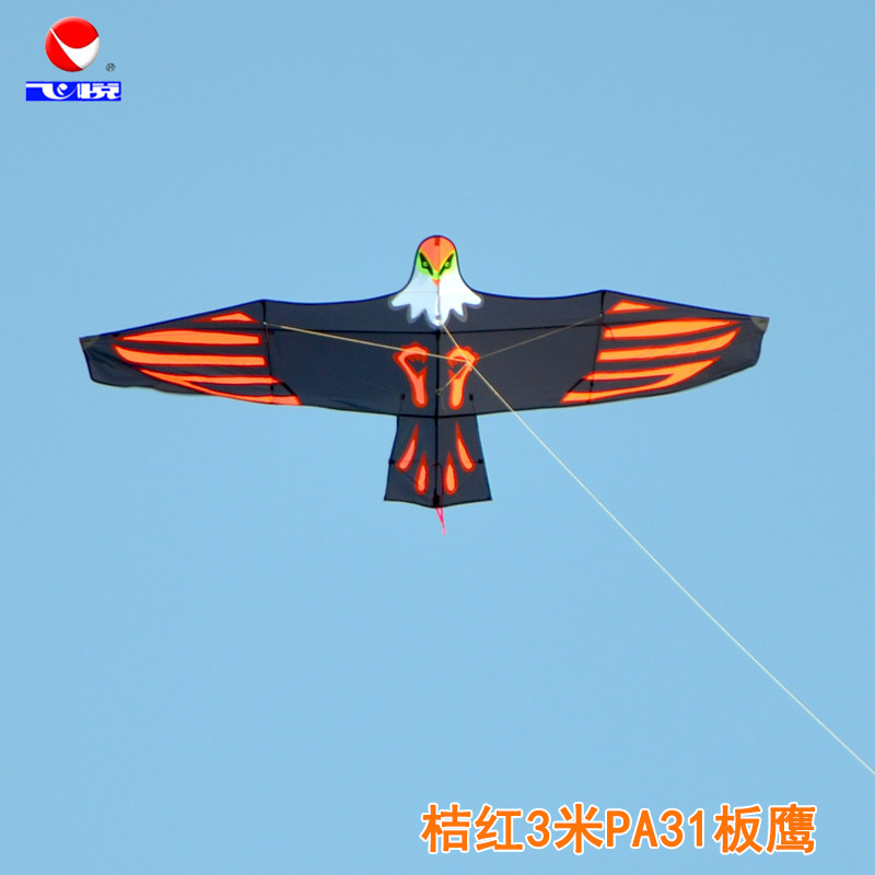 飞悦风筝板鹰老鹰风筝pa31伞布 微风抗大风
