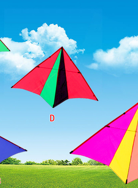 新款网红飞悦1.6小彩燕1.1小轻体风筝微风王PA31专业大人儿童风筝