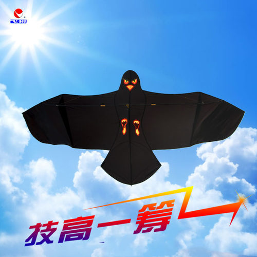 老鹰初学者凯夫拉风筝