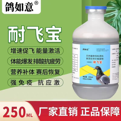 正品耐飞宝鸽如意新肽家鸽子促飞行赛鸽信鸽高飞比赛训放专用包邮