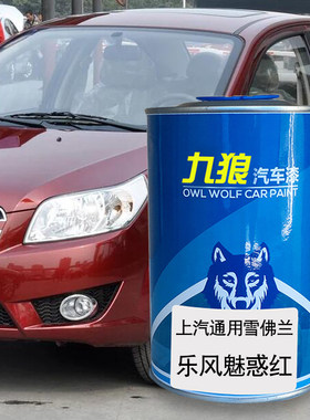 上成汽通品用雪漆佛兰乐风RV魅惑红雪域白迈锐宝XL黄石棕纳帕红色