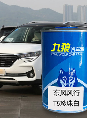 九狼汽车漆东成品风改风色车行T5珍珠白色皓月灰X3俊雅红炫金橙色