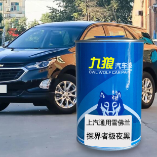 九狼汽车上成汽通品用雪漆佛兰探界者极夜黑冰原白珊瑚红星河银色