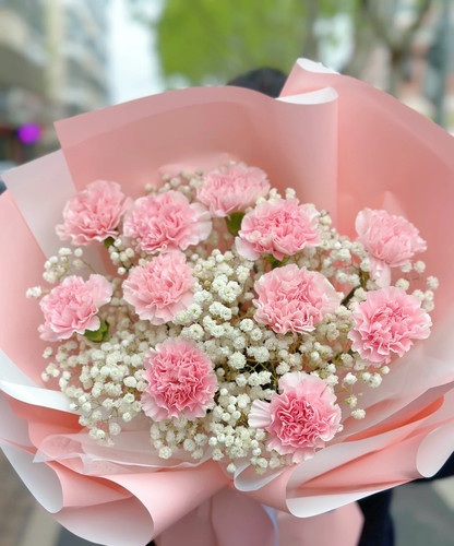 【老师辛苦了】生日节日康乃馨鲜花速递萍乡本地花店