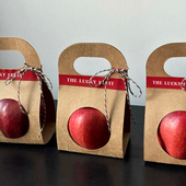 水果包装 纸盒 盒手拎水果套单双个橙子圣诞苹果手提礼品牛皮包装