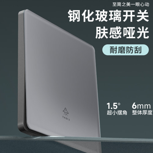 TEP国际电工10A灰色86型