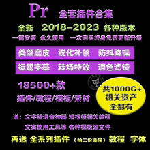 pr插件全套中文一键安装包软件转场磨皮调色预设模板PsPE教程2023