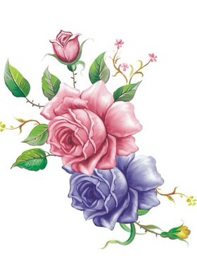 喷漆贴纸韩尚家具贴花