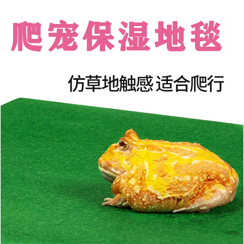 角蛙地毯爬宠地毯蛇陆龟守宫垫材