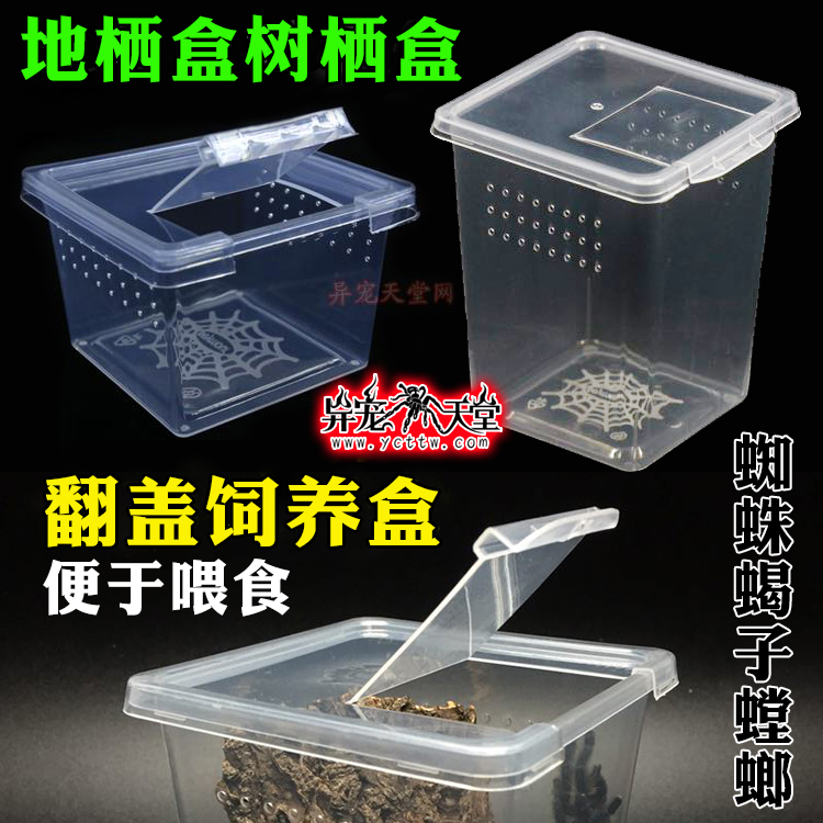 蜘蛛螳螂饲养盒带翻盖透气孔蜘蛛蝎子蜈蚣甲虫昆虫幼体饲养箱