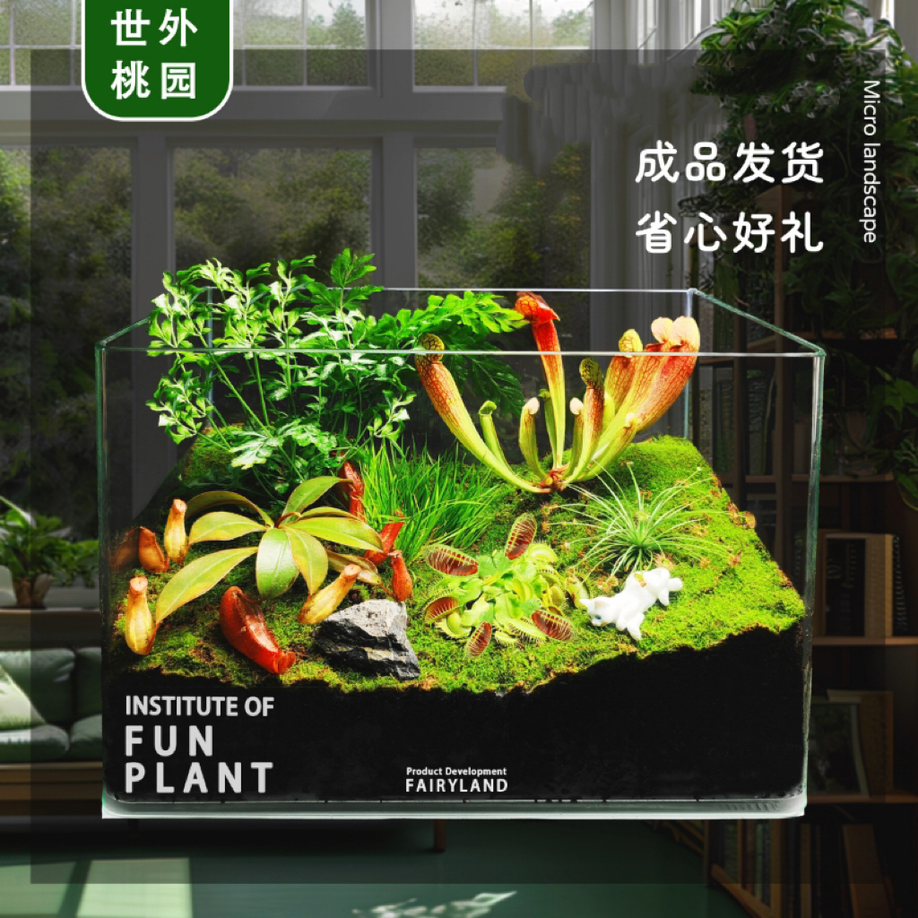 趣多纷苔藓植物微景观