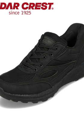 CEDAR CREST运动鞋男夏季透气网面鞋轻便减震跑步鞋休闲鞋男鞋