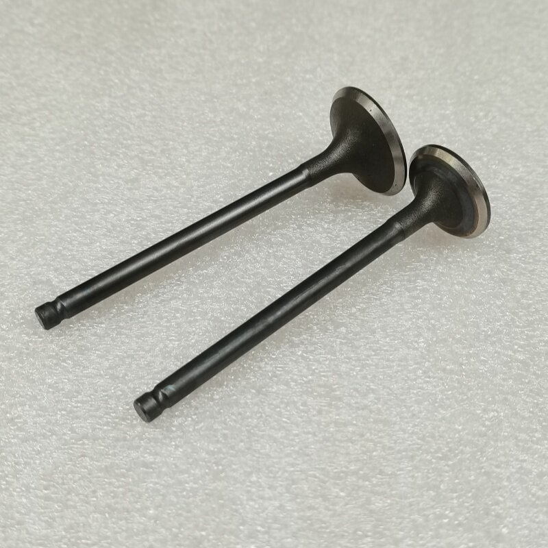 包邮 弹灯KH150三阳风速CH125 150大沙CH125气门一副台湾光阳原装