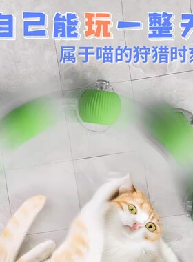 猫咪智能躲避球自动逗猫球电动猫玩具自嗨解闷消耗体力突突球