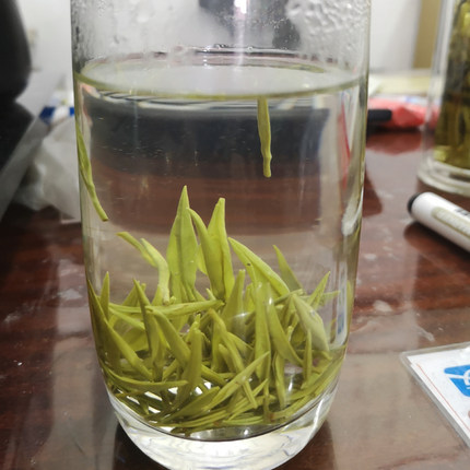 安徽绿茶宁国黄花云尖茶叶 2026新茶高山绿茶潘茶鸦坑茶叶50g