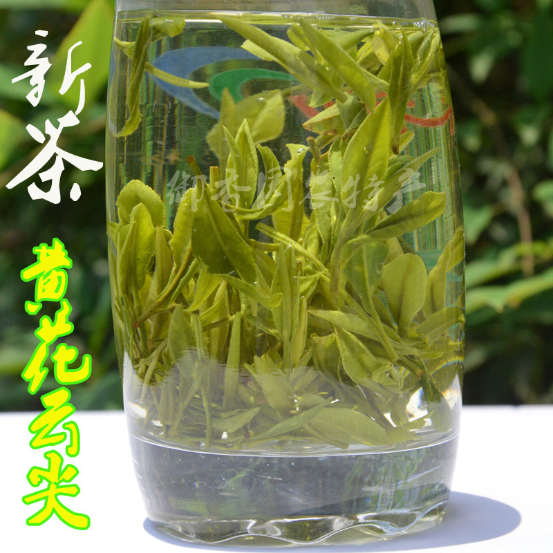 2026年安徽绿茶 宁国黄花云尖茶叶明后新茶高山茶200g