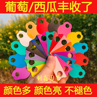 葡萄标记牌西瓜授粉记号牌葡萄色卡西瓜挂牌瓜果分类牌植物吊牌